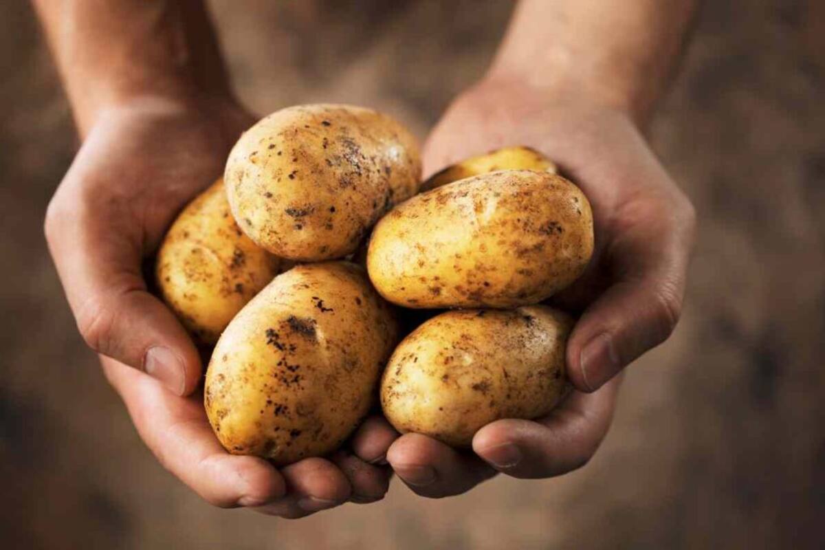 Descubre los sorprendentes beneficios de las papas para la salud