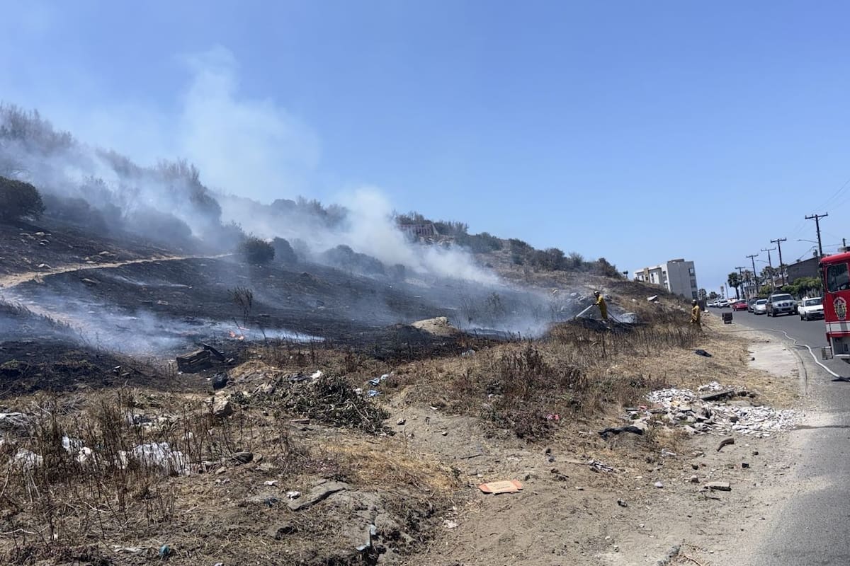 Controlan incendio en cerro de Valle Dorado en Ensenada