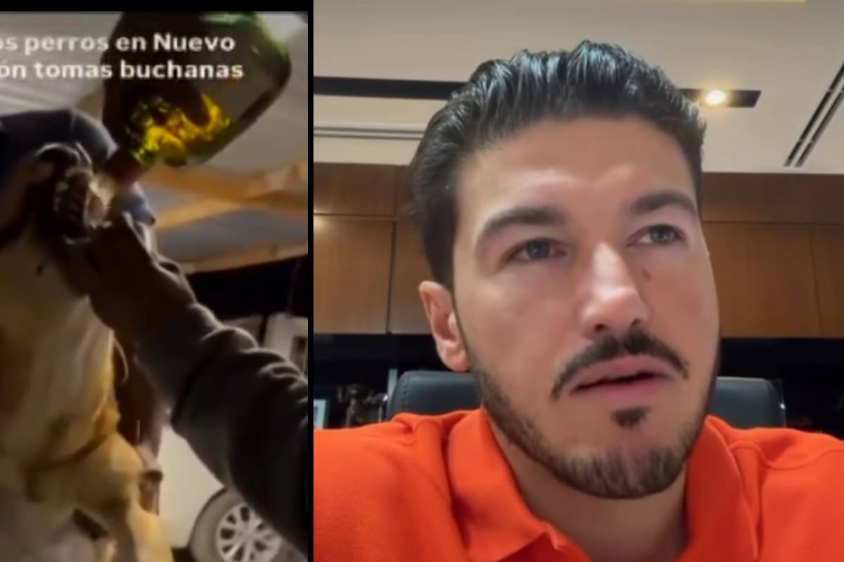 Obligan a perro a beber alcohol en Nuevo León; rescatistas exigen justicia y Samuel García responde