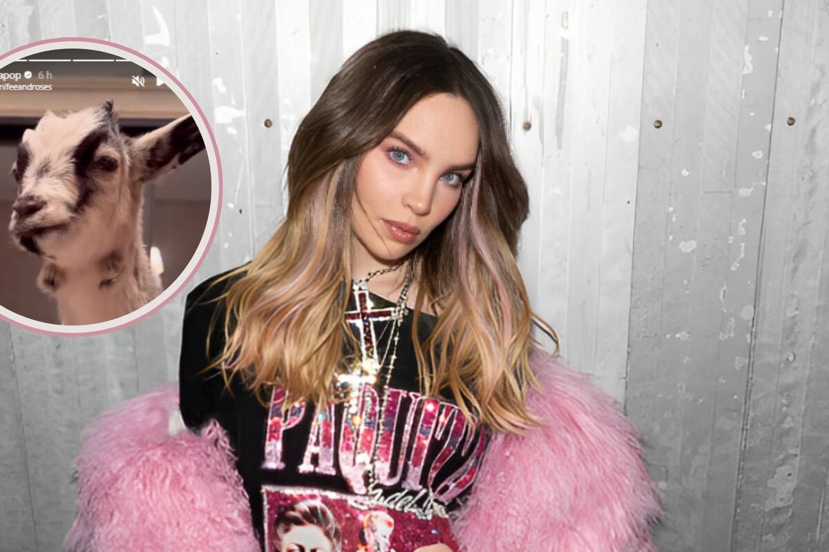 ¡Una cabra! Belinda presenta a Flora, su nueva mascota