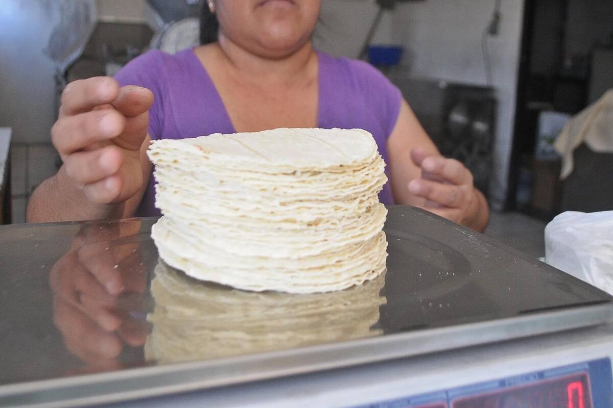 Firman Acuerdo Nacional para reducir hasta 10% el precio de la tortilla