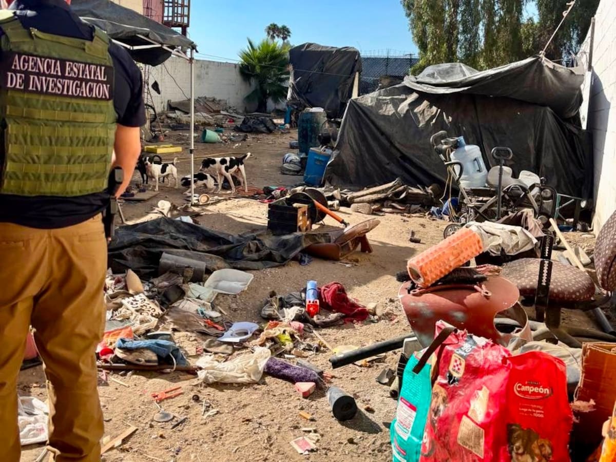 La Fiscalía de Baja California aseguró a 21 perros con desnutrición, garrapatas y enfermedades durante un cateo; permanecerán en resguardo temporal mientras continúa la investigación.
Fotos: Cortesía.
