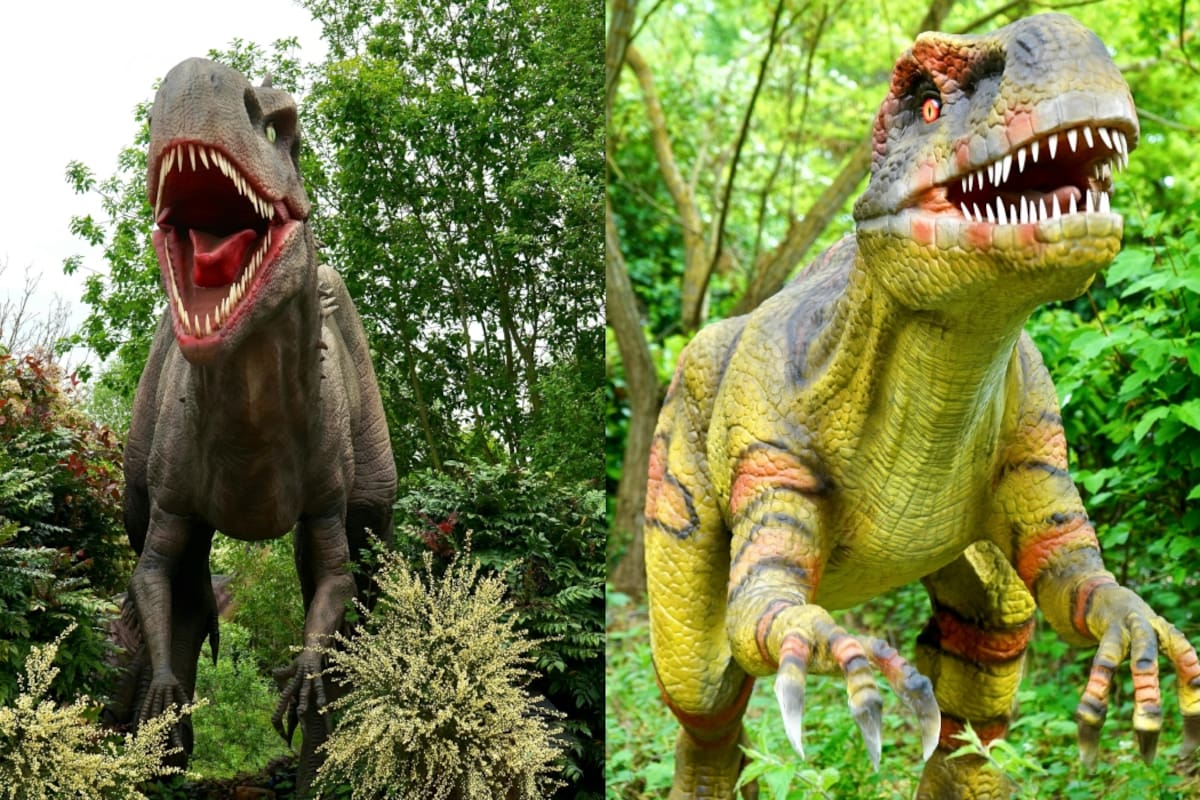 “Podían cantar como las aves”: el sonido que hacían los dinosaurios, según National Geographic