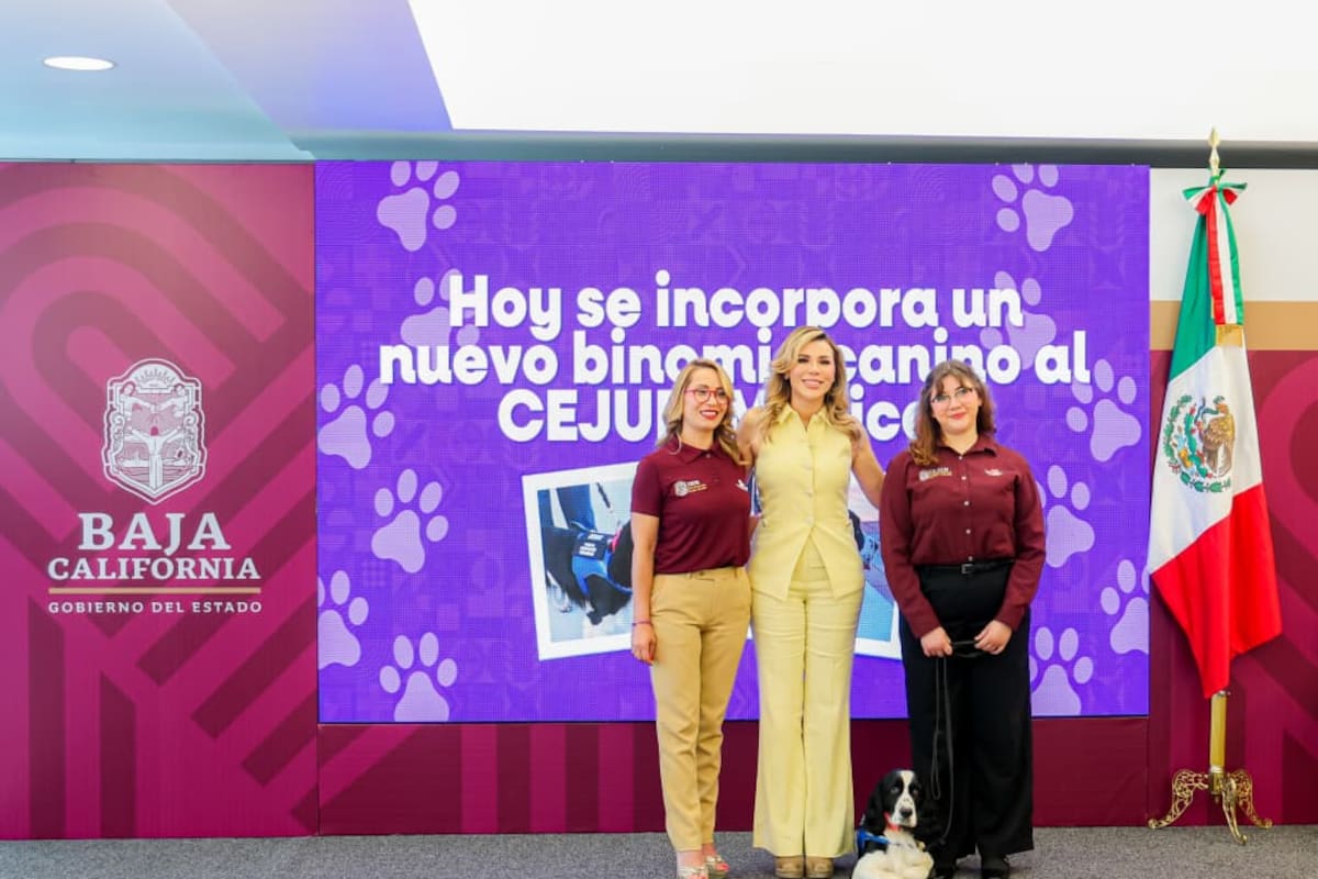 Toña, Dora y ahora Vera: los perros que ayudan a niñas y niños víctimas de violencia en Baja California