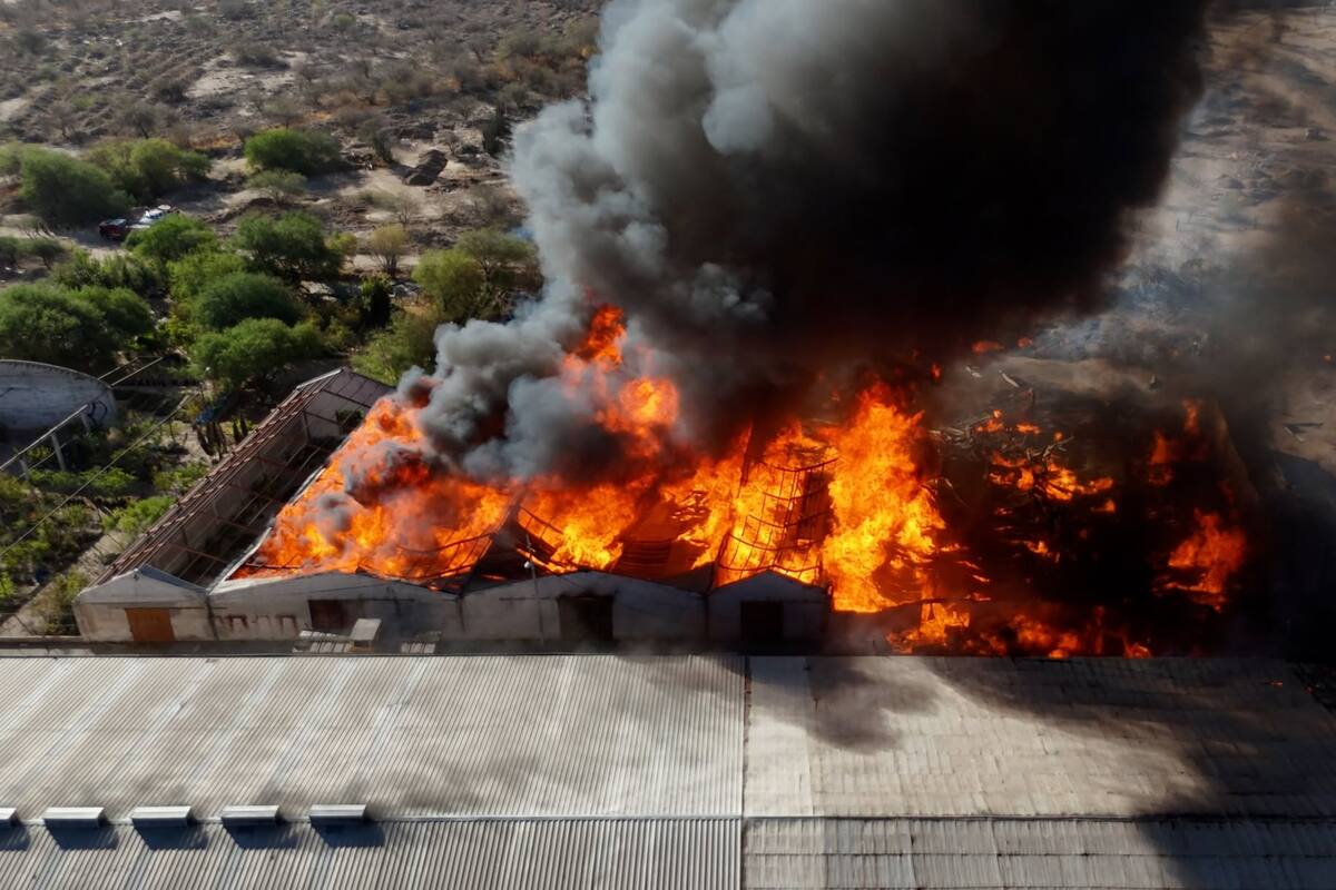 “Vibró el techo, me despertó”: Vecinos de la colonia Las Amapolas narran cómo se sintió la explosión en bodega