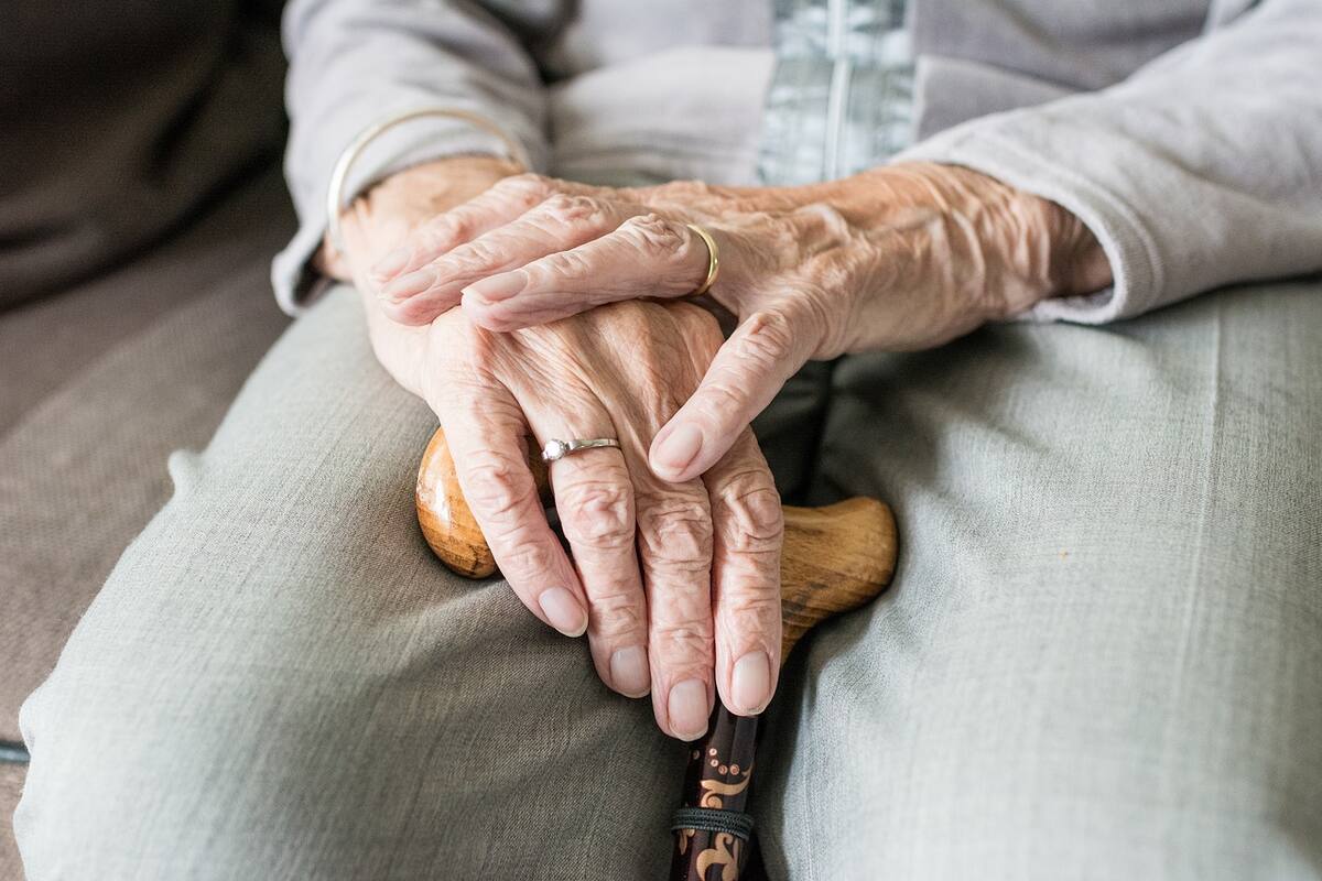 Avalan diputados hasta 4 años de cárcel a quien abandone a adultos mayores