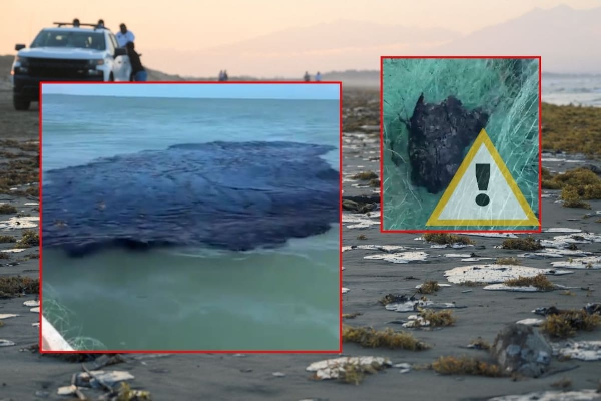 Derrame petrolero en el Golfo de México ya afecta 630 km de costa en Veracruz y Tabasco, mientras Greenpeace exige declarar emergencia ambiental y autoridades aún no identifican responsables ni origen del crudo