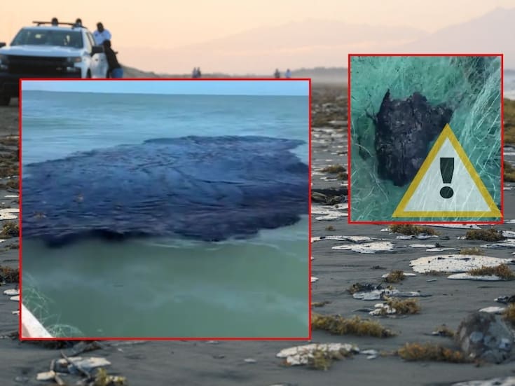 Derrame petrolero en el Golfo de México ya afecta 630 km de costa en Veracruz y Tabasco, mientras Greenpeace exige declarar emergencia ambiental y autoridades aún no identifican responsables ni origen del crudo