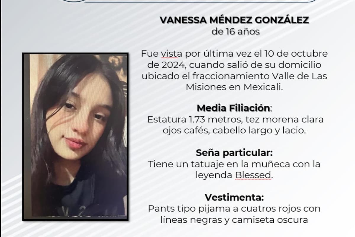 Pesquisa de Vanessa Méndez González