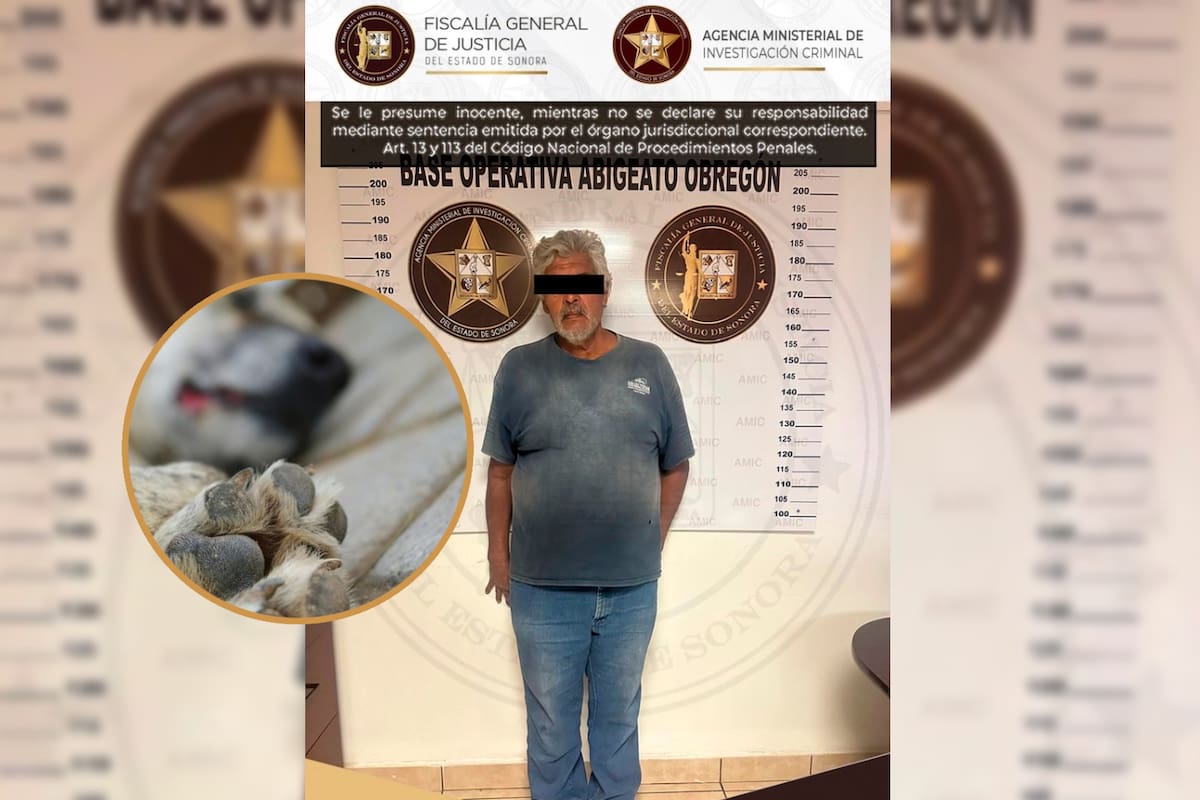 Intoxica a cuatro perros en Ciudad Obregón ocultando veneno entre su comida y lo vinculan a proceso