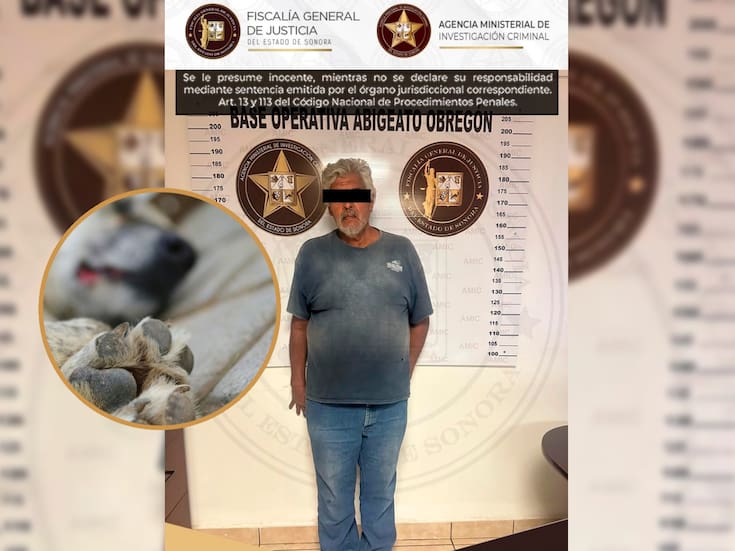 Intoxica a cuatro perros en Ciudad Obregón ocultando veneno entre su comida y lo vinculan a proceso