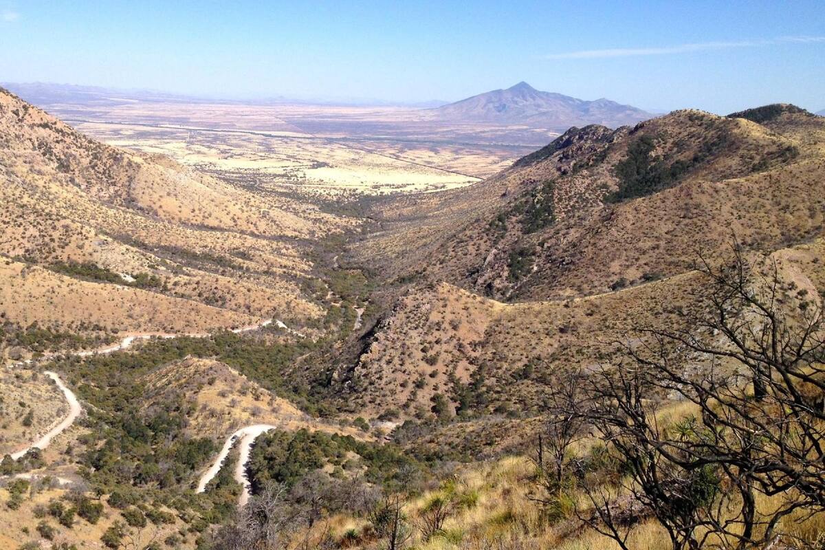 Descubre la vida natural que envuelve Sierra Vista