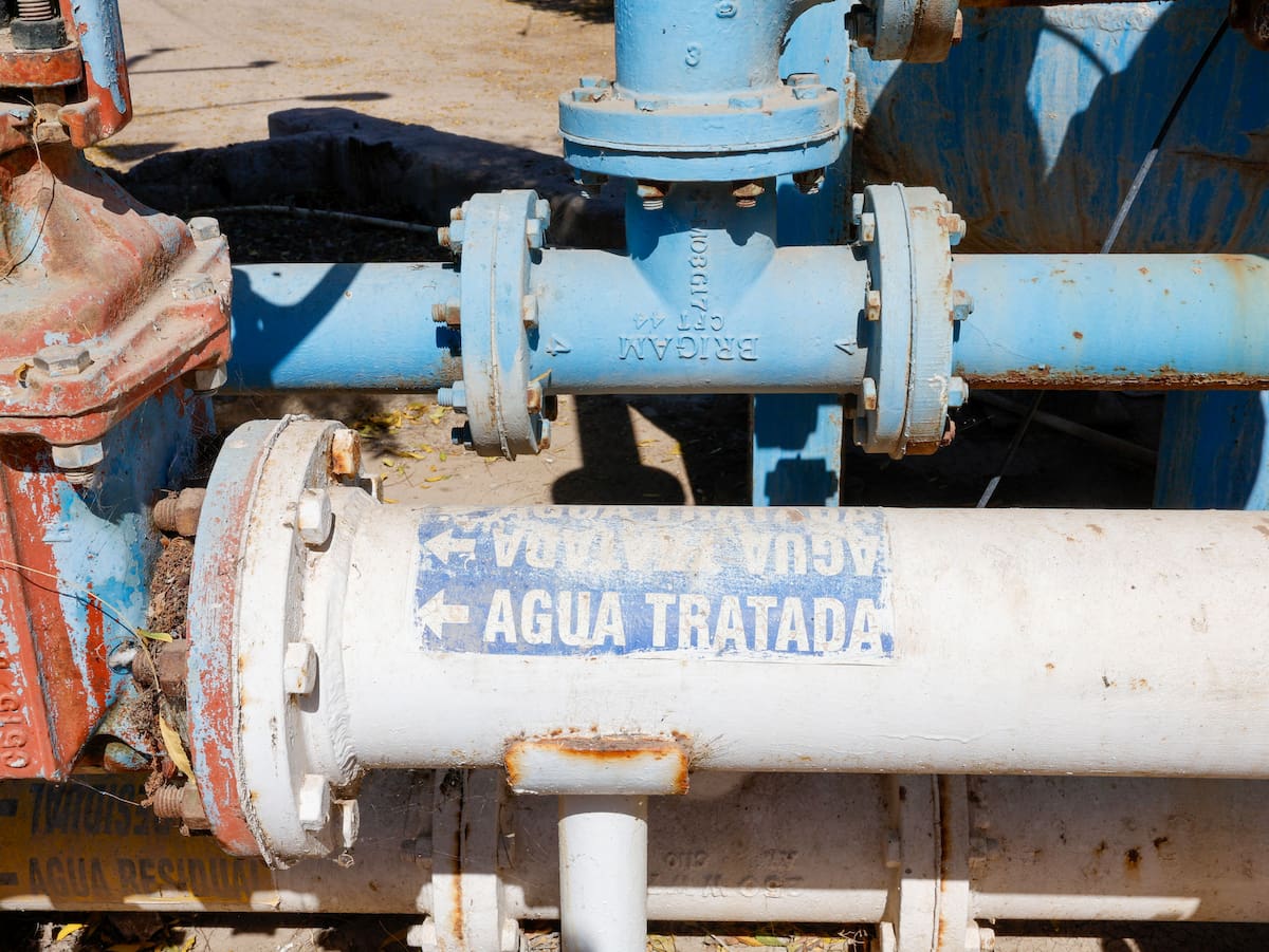 Foto: Juan J. Morales