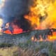 Incendio consume 800 hectáreas en Valle de la Trinidad
