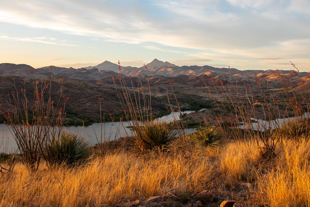 Patagonia, Arizona: naturaleza, historia y encanto en una escapada única
