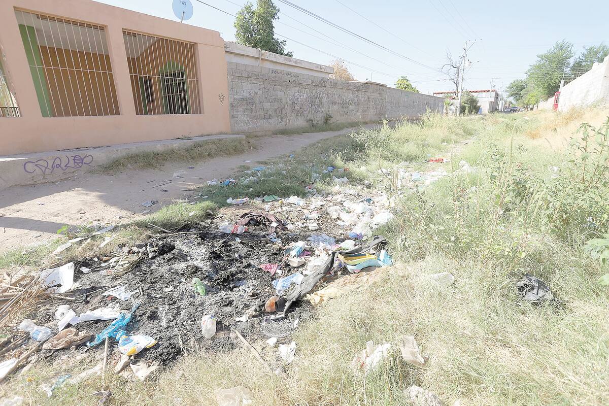 “Hasta víboras hemos sacado del patio”: reportan un canal por contaminación