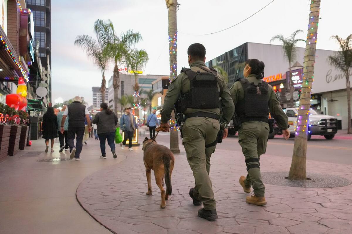 Emite SSPCM recomendaciones para evitar robos en época navideña