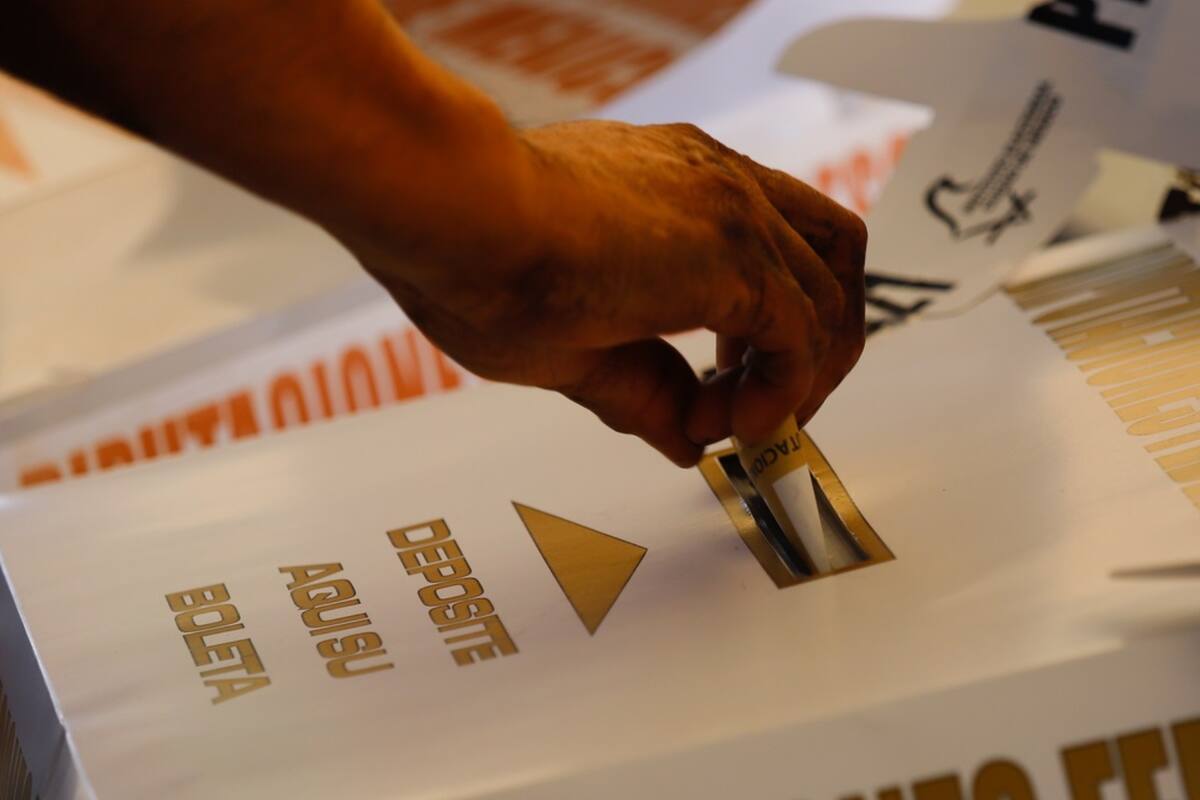 Credenciales de elector con vigencia 2019 o 2020 podrán utilizarse para votar en la Consulta Popular: INE