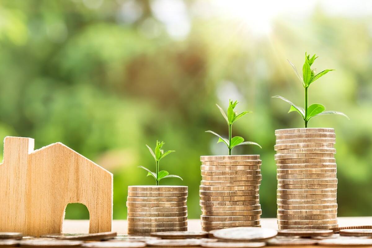 FMI: Impuestos verdes para combatir calentamiento global