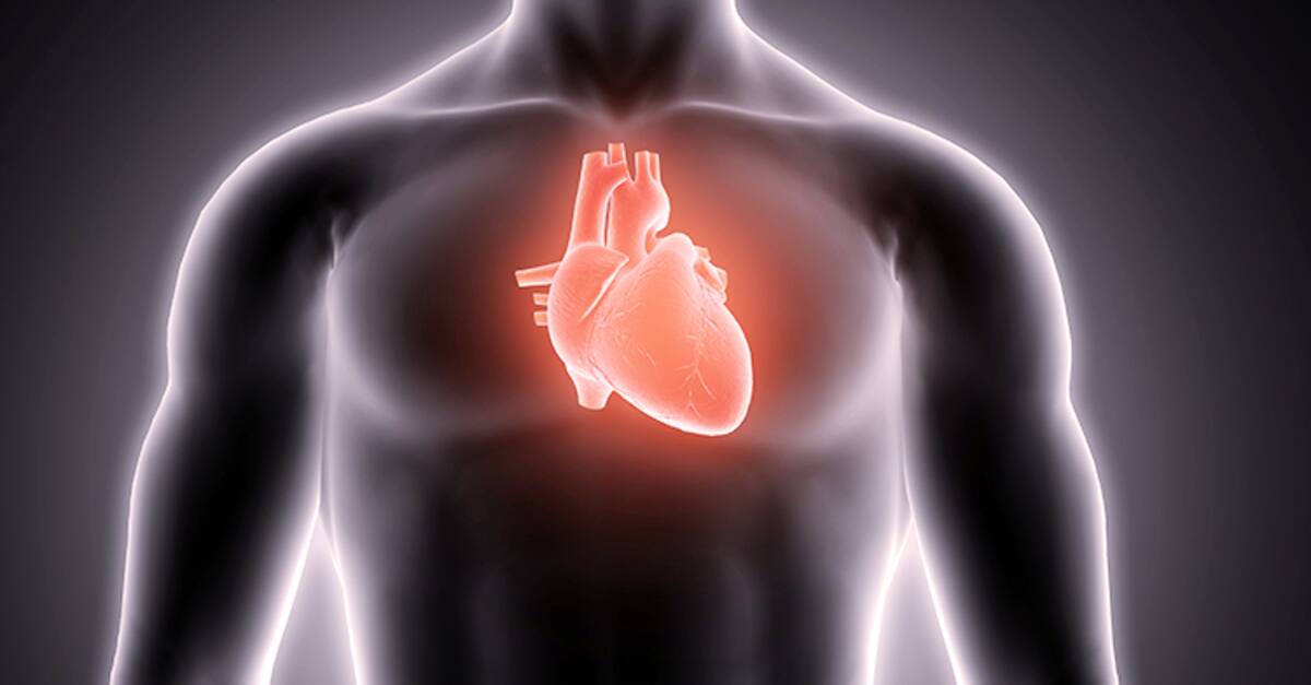 Corazón. GobMx.