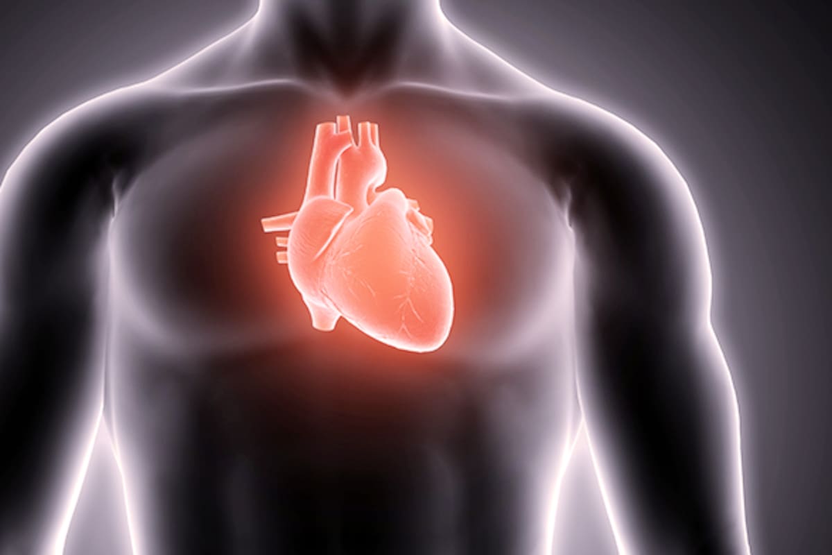 El impacto de los fenoles ambientales en la actividad eléctrica del corazón