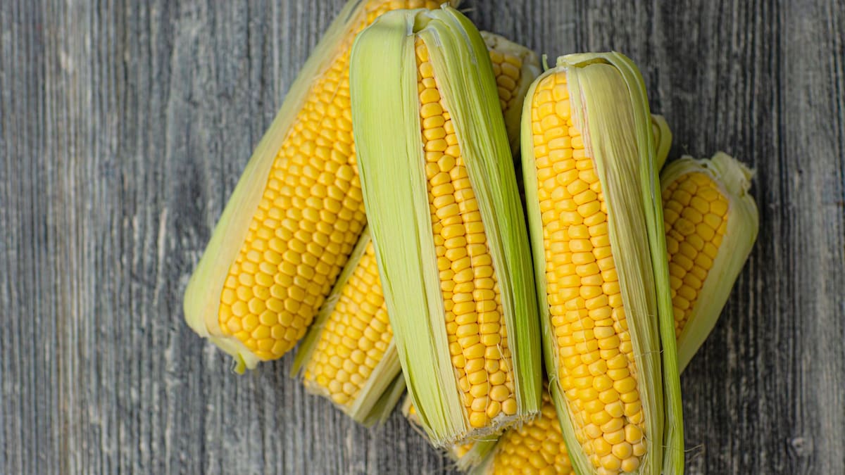 El maíz dulce, ya sea fresco, congelado o enlatado, puede ser un alimento saludable si se consume de forma adecuada, según expertos en nutrición | Foto: Especial