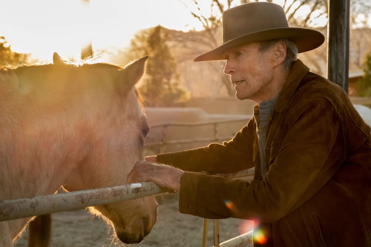 En 1995 Clint Eastwood compró un rancho de 54 hectáreas en California que años después donó para crear una reserva natural y ayudar a prevenir inundaciones