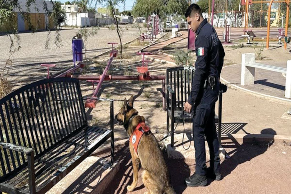 Operativos de la PESP dejan siete detenidos y decomiso de narcóticos en Hermosillo