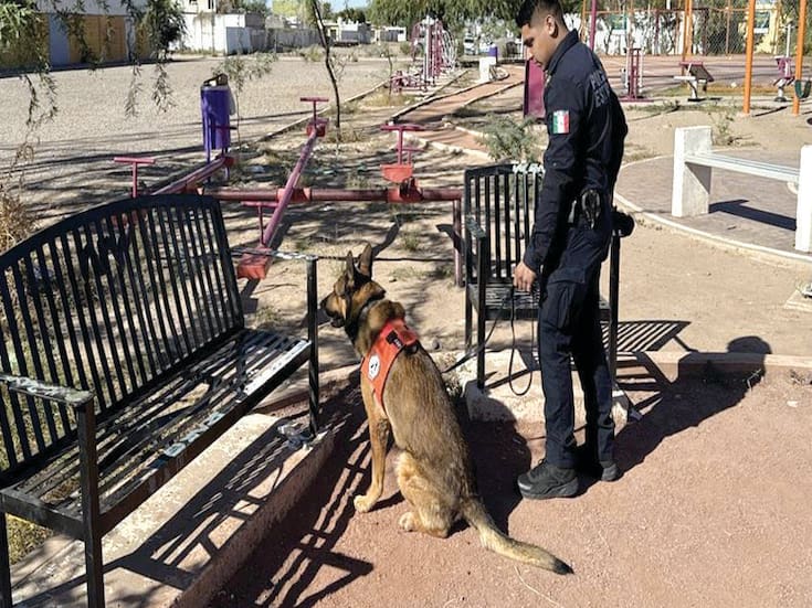 Operativos de la PESP dejan siete detenidos y decomiso de narcóticos en Hermosillo