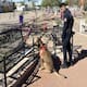 Operativos de la PESP dejan siete detenidos y decomiso de narcóticos en Hermosillo