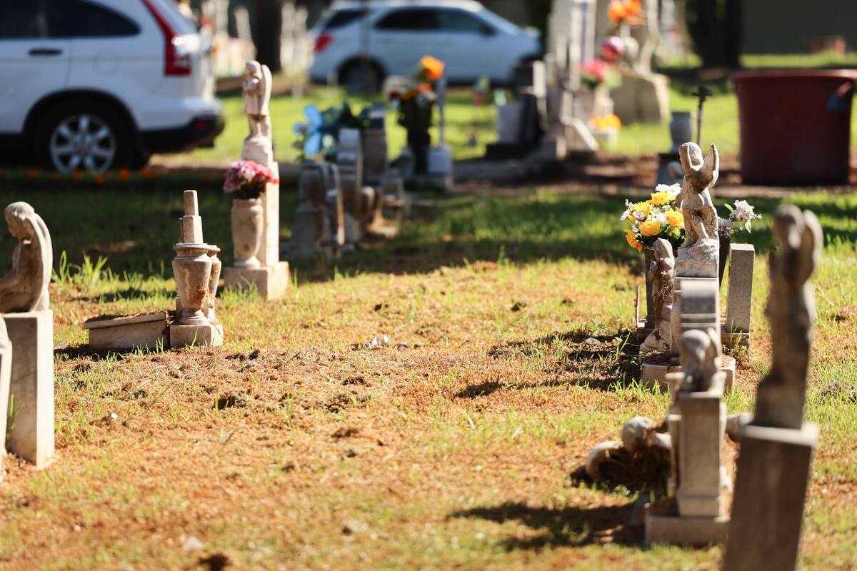 Causa tristeza Día de los Muertos