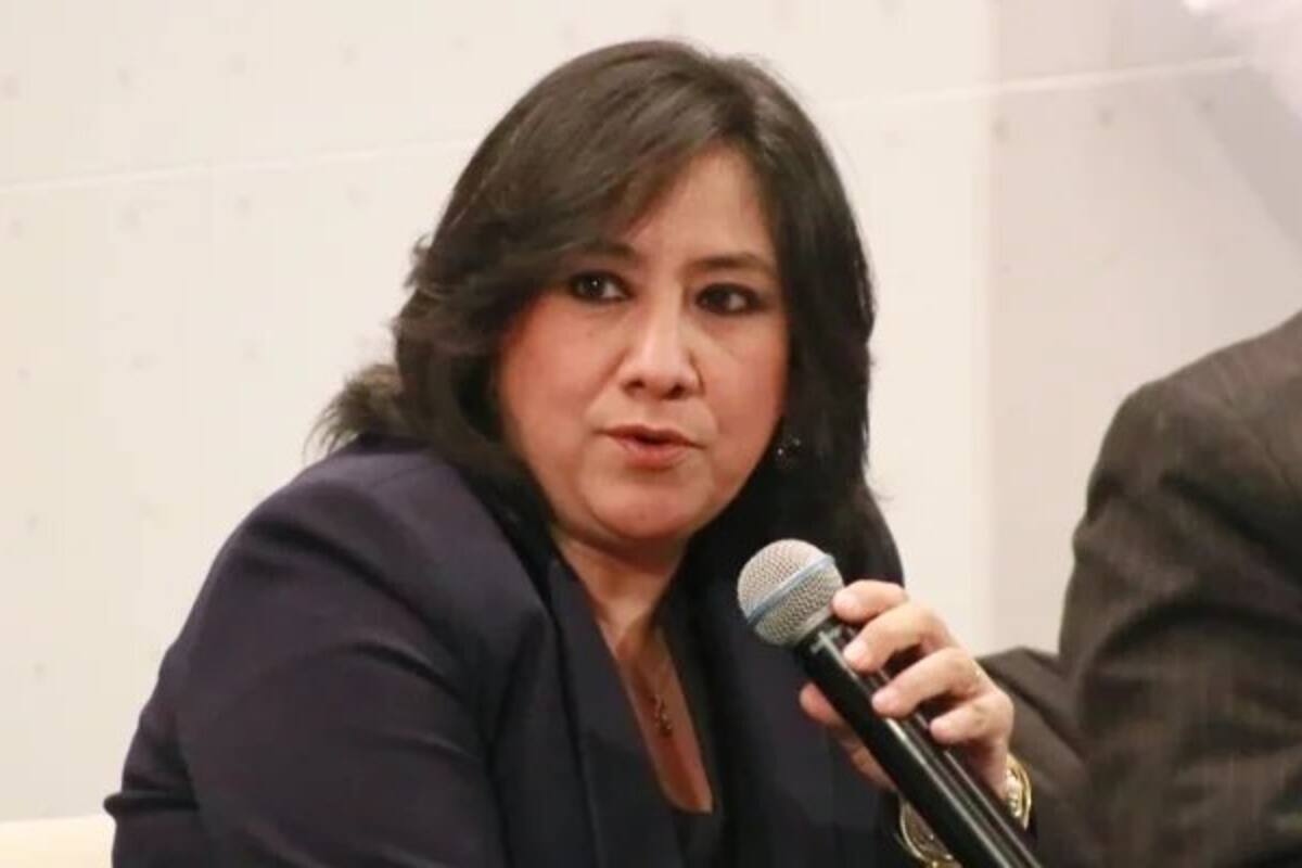 "Insultantes", dichos de Irma Eréndira Sandoval: artistas