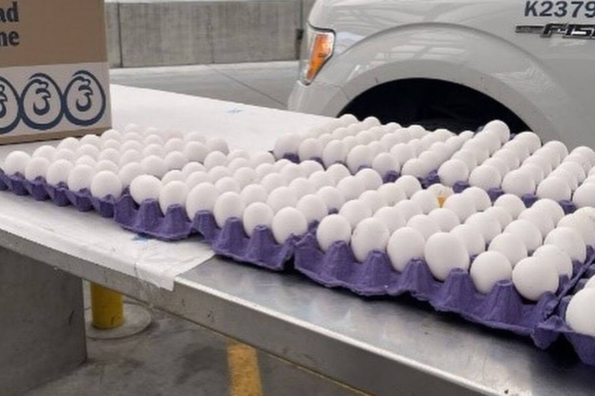 Precios del huevo, pollo y cerdo impulsan la inflación al alza en México