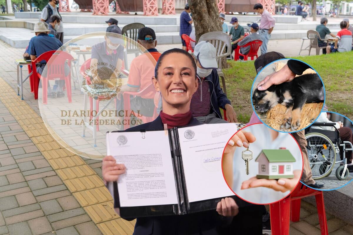 Reformas de vivienda, bienestar y protección animal ya fueron publicadas en el DOF: Esto tienes que saber del nuevo decreto