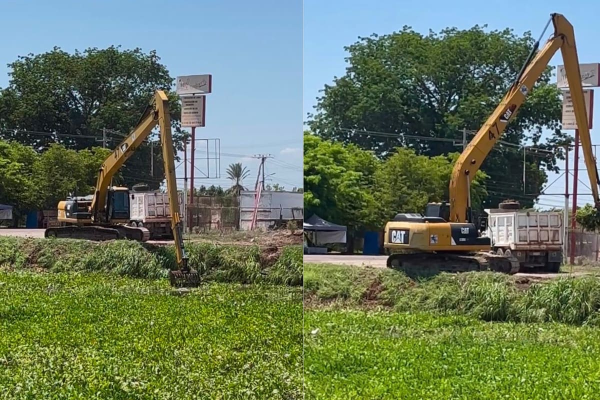 Buscan frenar avance de lirio acuático en el Río Yaqui