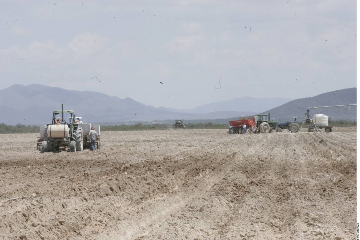 Sequía en Sonora: Están en riesgo los cultivos por la escasez del agua