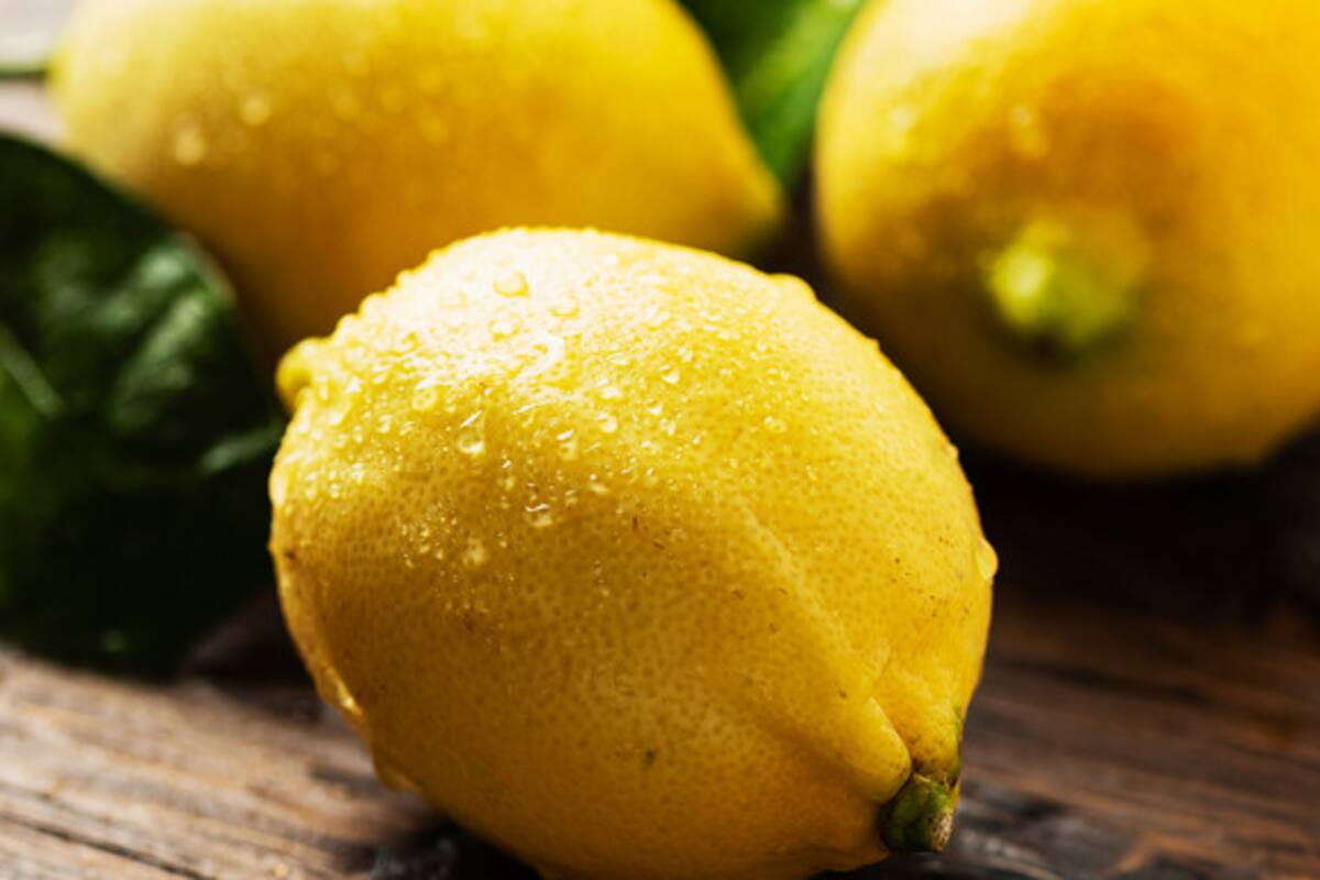 ¿Cómo plantar un árbol de limones en casa? La guía básica para lograr estos cítricos