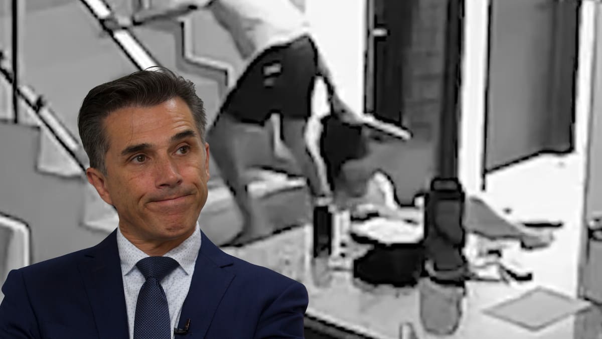 Sergio Mayer denuncia brutal agresión a una mujer en Quintana Roo: exige acción inmediata de la fiscalía. Foto: SDP Noticias y imer.mx