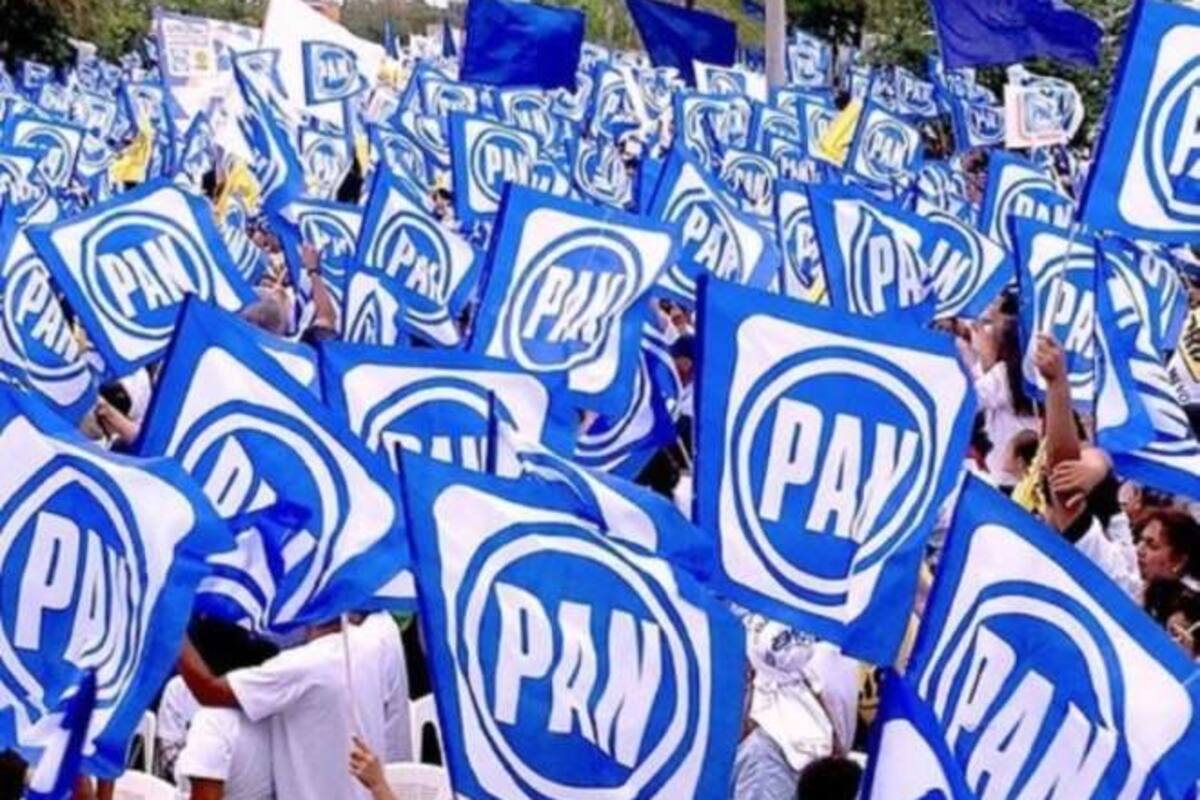 Panistas buscan dirigencias