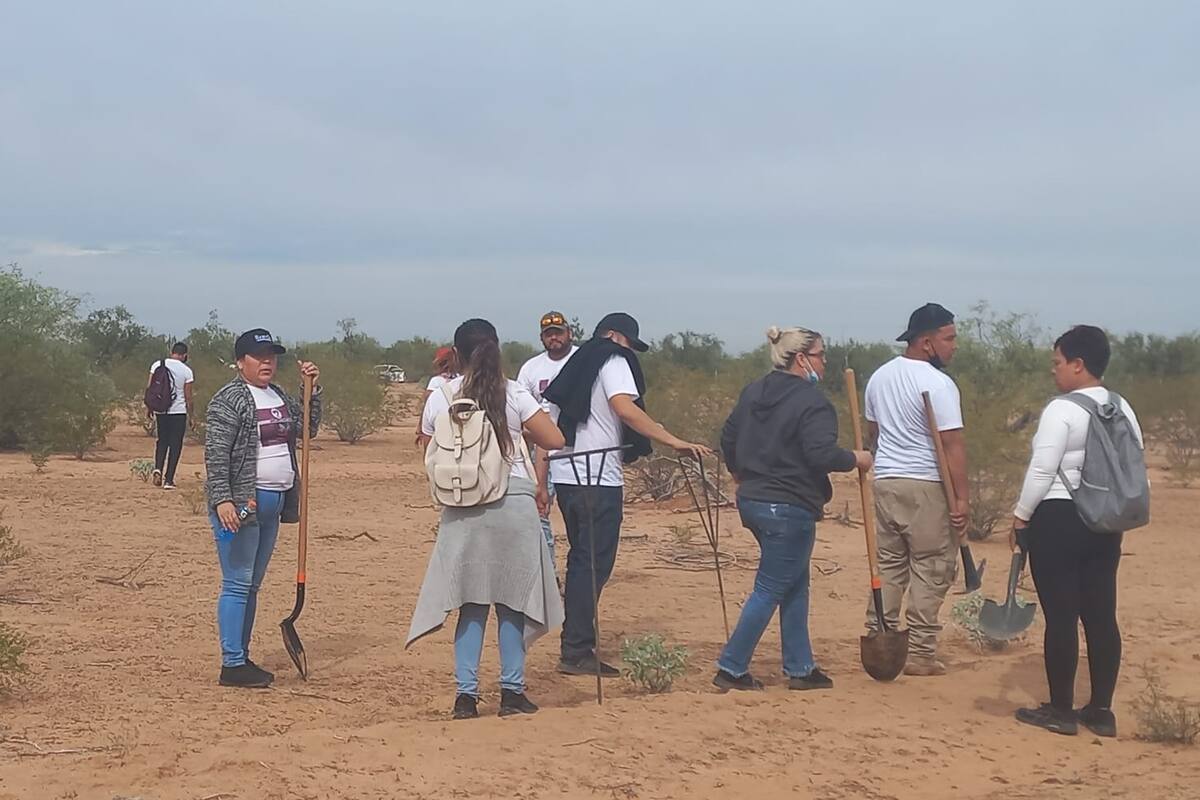 En Sonora forman colectivo juvenil de búsqueda de desaparecidos