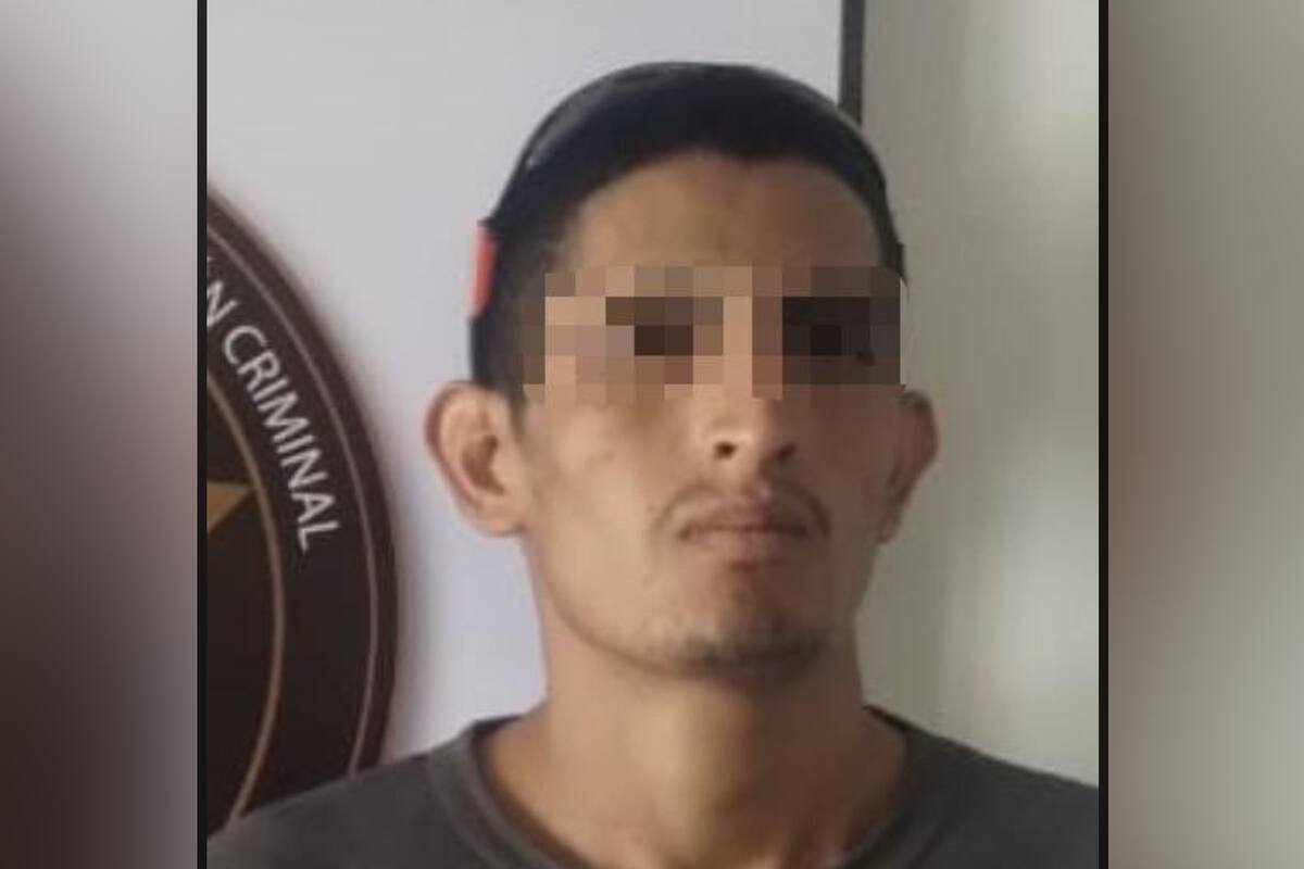 Hombre que mató brutalmente a golpes a dos perritos en Cajeme es vinculado a proceso