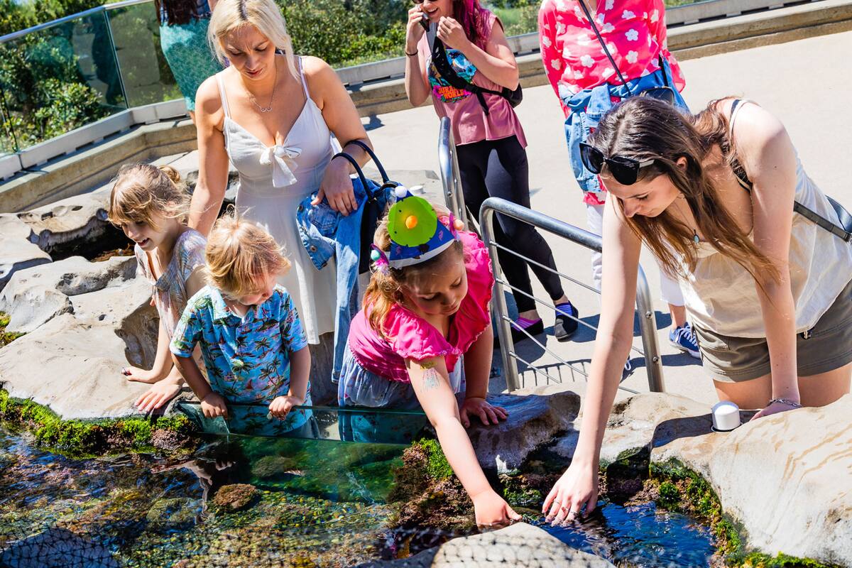 Acuario Birch celebrará a la Tierra con ’Party for the Planet’