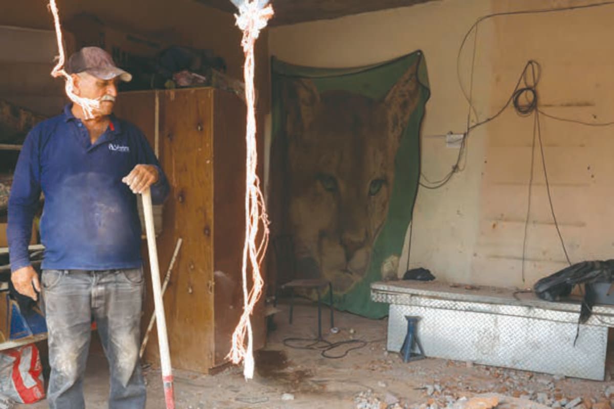 “Salieron volando cosas…todo arrancó”: Vecina de la Jacinto López en Hermosillo vivió como un auto impactó su casa