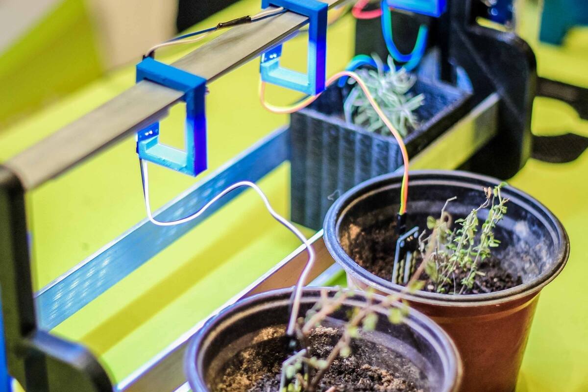 Gana IBERO 1er lugar en prototipo en la IV Feria Ambiental Académica