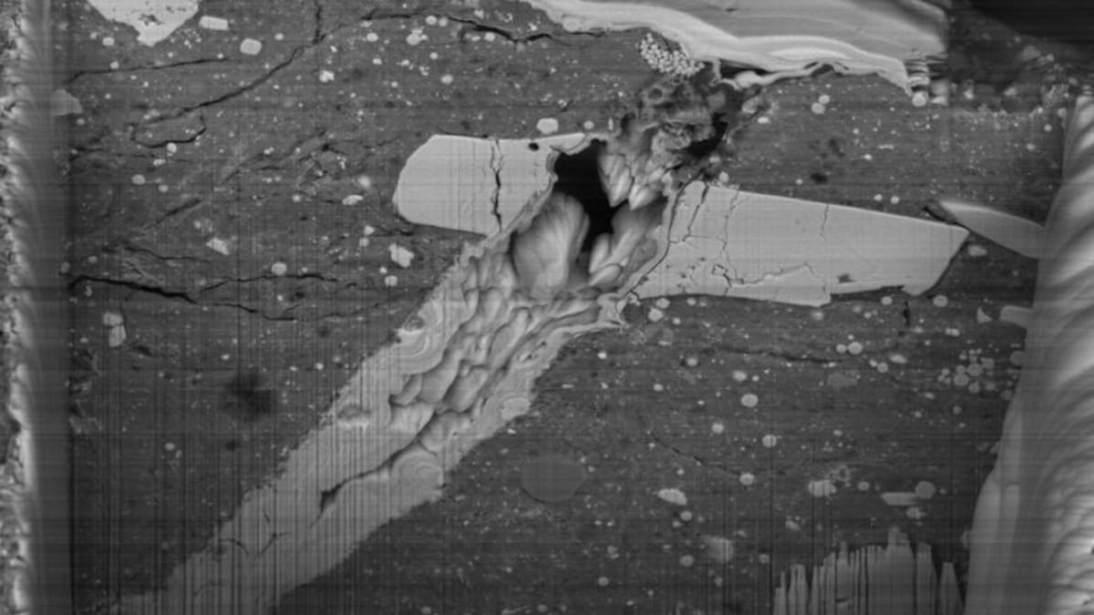 Las muestras del asteroide Bennu traídas a la Tierra por la misión OSIRIS-REx están reescribiendo lo que la ciencia sabe sobre el origen del Sistema Solar. (NASA/Zia Rahman)