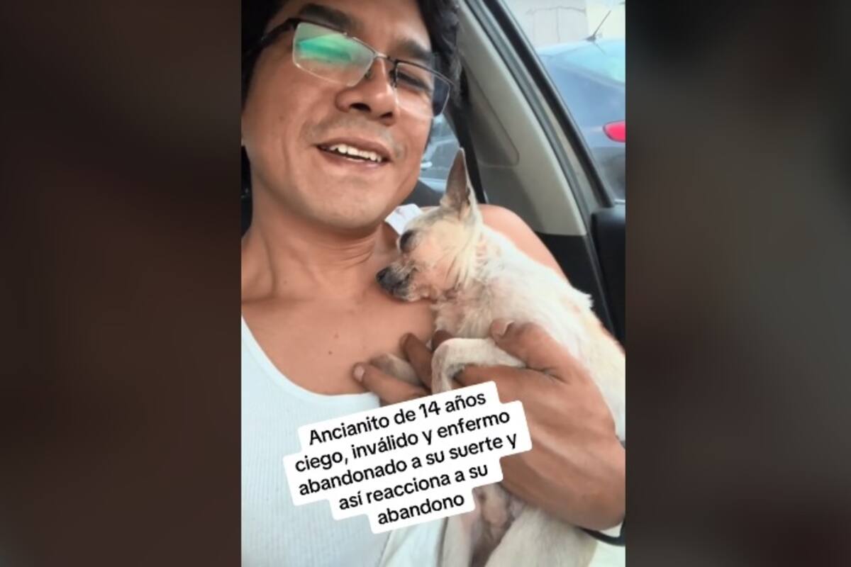 Joven rescata a perrito ciego y su respuesta al recibir cariño se volvió viral