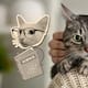 Parpadeo lento: el gesto para acercarte a un gato