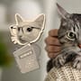¿Quieres acercarte a un gato que no conoces? El simple gesto puede aumentar su disposición a aproximarse, según un estudio científico