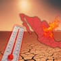 Durango rompe récord histórico de calor con 48.5 grados en Tamazula y por primera vez en 2026 no hubo temperaturas bajo cero en el estado