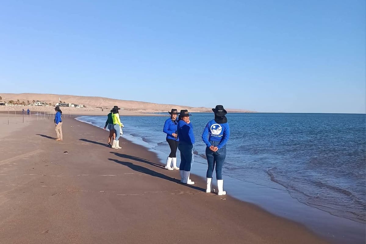 Pescadores del Golfo de Santa Clara participan en el Festival Regional de Pesca y Acuacultura Sostenible